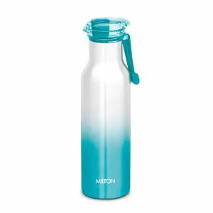 Elan Stainless Steel Flask (Milton)