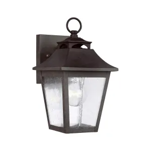 Galena 1 Light Small Wall Lantern | Sable