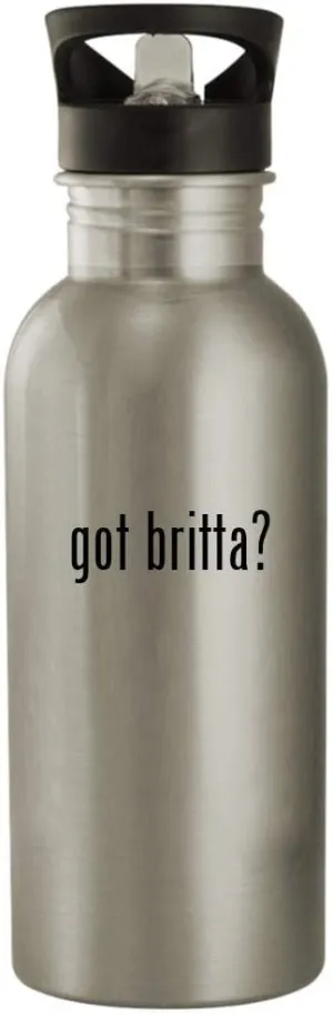 got britta? - 20oz Stainless Steel Water Bottle, Silver