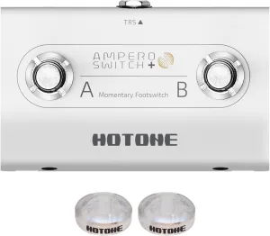 HOTONE Dual Footswitch Pedal Momentary 2-Way Pedal Foot Switch Controller Switch 6.35 mm (Ampero Switch )