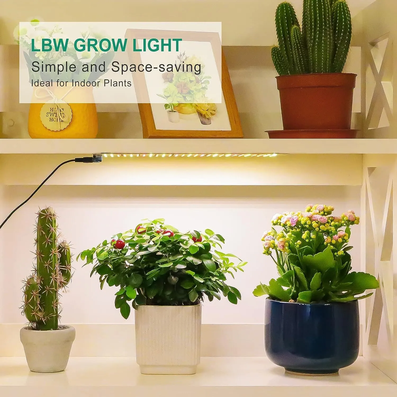 LBW Grow Light, Full Spectrum 270 LED Growing Lamp with Auto On/Off Timer 4/8/12H, 3 Lighting Modes, 10 Dimmable Levels, Suitable for Indoor Plants, 2 Pack