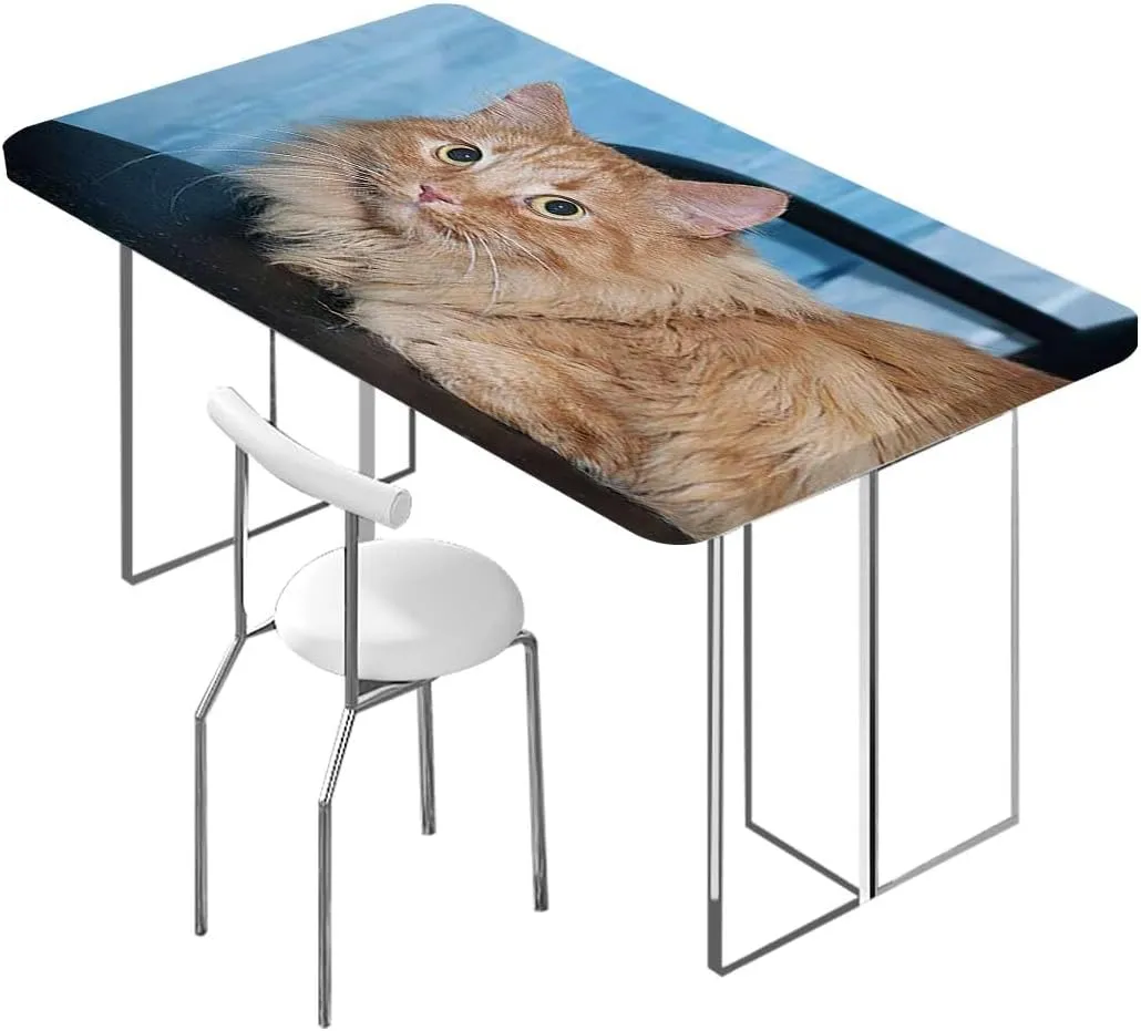 OOzie Caramel Blue Elastic Tablecloth Kitten Siblings Animals Creatures Friend Waterproof Elastic Table Cover, for Outdoor Picnics/Travel/Holiday/Party Animal Fits up 4 Foot Tables
