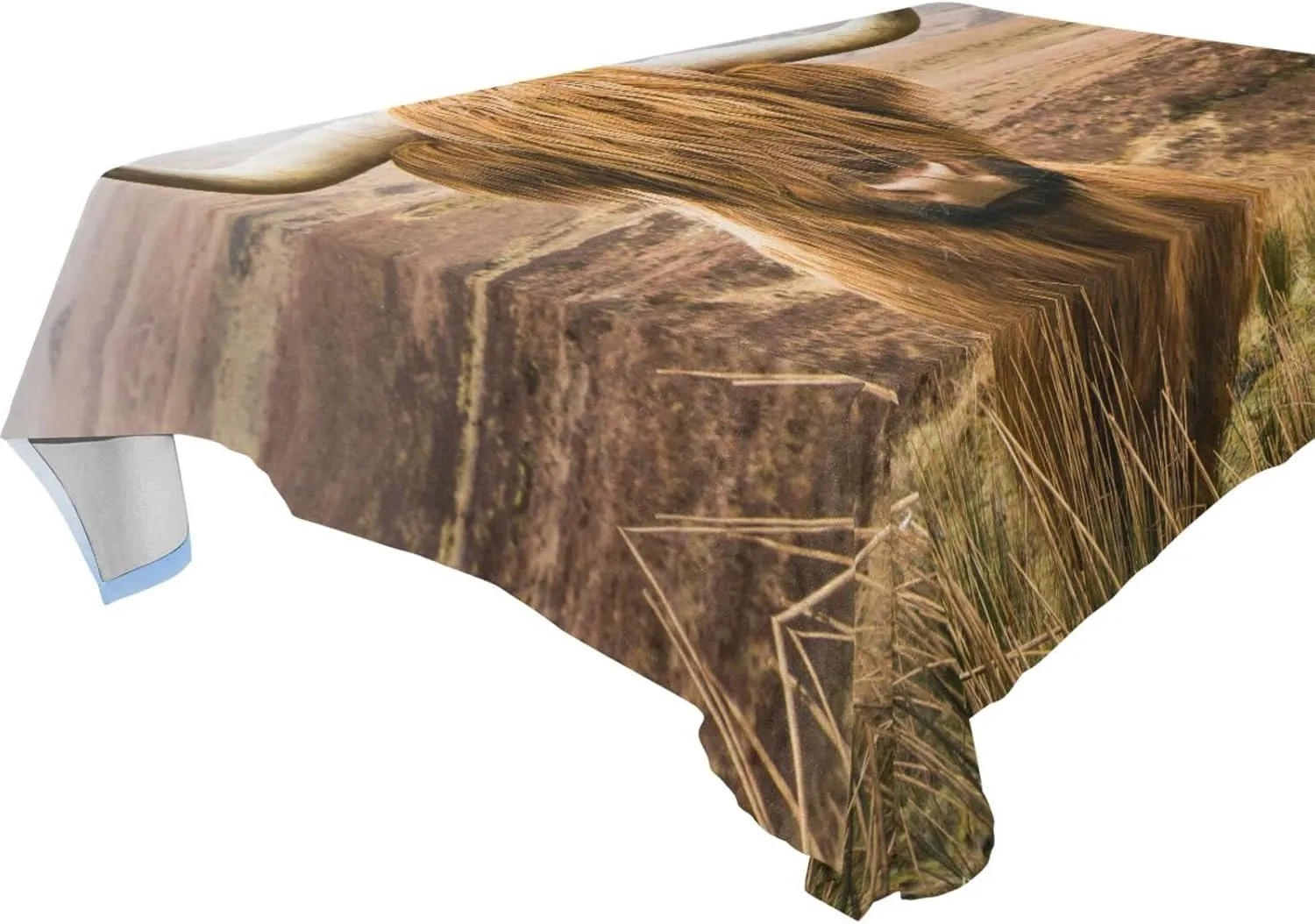 Oyihfvs Brown Scottish Highland Cow in Field Rectangle Wrinkle Tablecloth, Stain Proof Table Cloth Cover for Indoor Dining Outdoor Party Picnic Decor 60 x 108 in