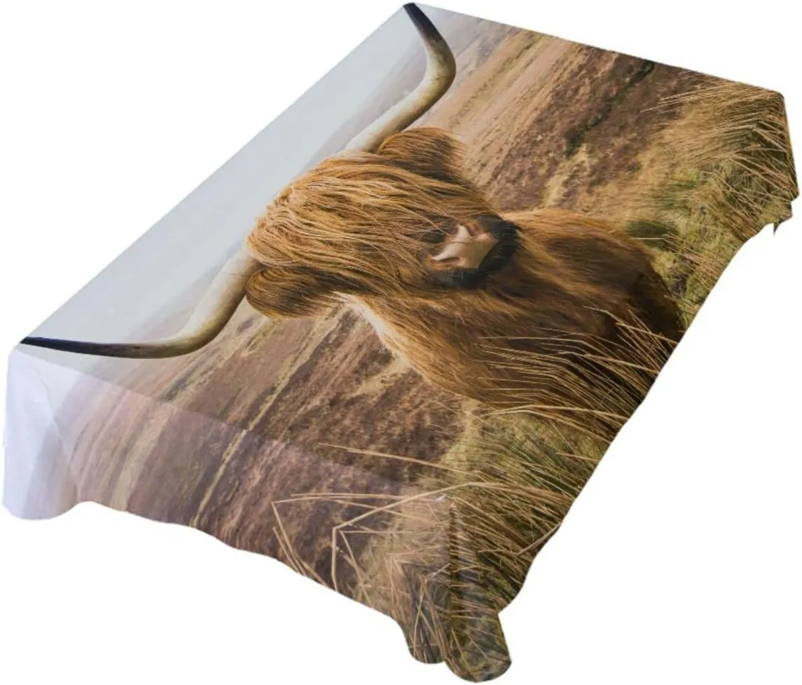 Oyihfvs Brown Scottish Highland Cow in Field Rectangle Wrinkle Tablecloth, Stain Proof Table Cloth Cover for Indoor Dining Outdoor Party Picnic Decor 60 x 108 in