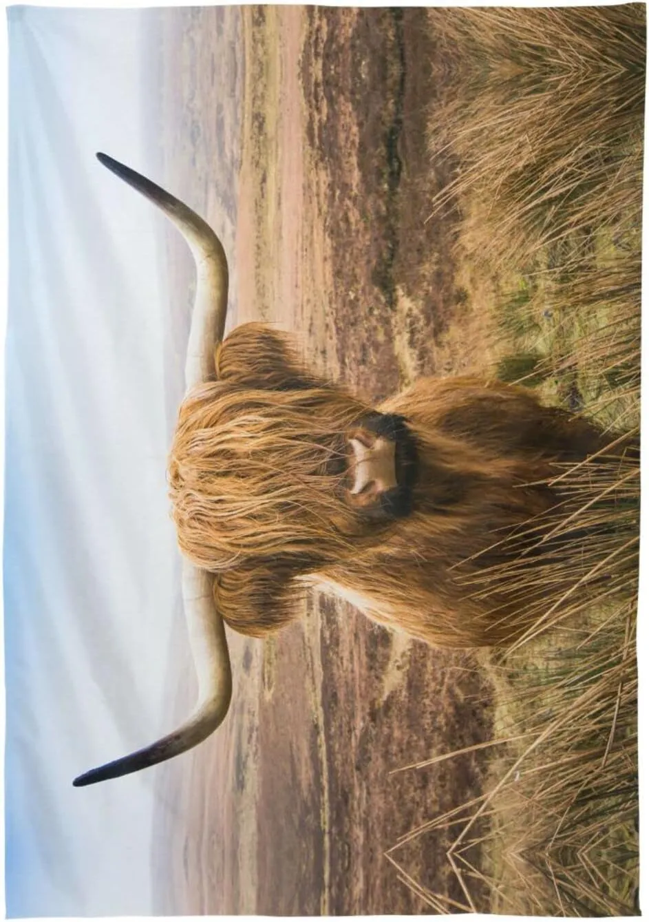Oyihfvs Brown Scottish Highland Cow in Field Rectangle Wrinkle Tablecloth, Stain Proof Table Cloth Cover for Indoor Dining Outdoor Party Picnic Decor 60 x 108 in