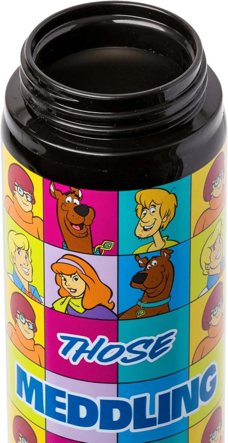 Silver Buffalo Scooby-Doo “Those Meddling Kids!” Stainless Steel Water Bottle Featuring Scooby-Doo, Fred, Velma, Shaggy, and Daphne, 25 Ounces