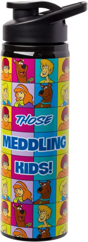 Silver Buffalo Scooby-Doo “Those Meddling Kids!” Stainless Steel Water Bottle Featuring Scooby-Doo, Fred, Velma, Shaggy, and Daphne, 25 Ounces