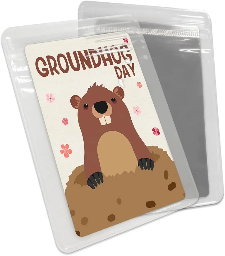 Spring Floral Cute Groundhog Small Compact Mirror for Purse, Spring Floral Cute Groundhog Travel Makeup Mirror for Women Men, Rectangular Handheld Compact Pocket Mirror 2 PCS