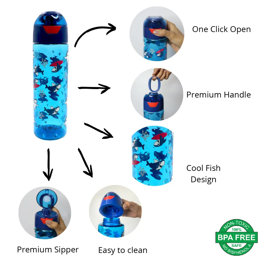 Tritan Bottle - Aqua Baby Shark