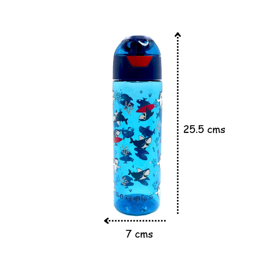 Tritan Bottle - Aqua Baby Shark