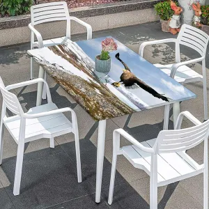 White Brown Fitted Tablecloth Bald Eagle Flying in The Snow Tablecloth Great for Indoor and Outdoor Dining and Playing Cards Aerial View Fits up 4 Foot Tables
